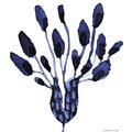 SiniSusa Puhastuslapp Sininen kukka