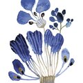 SiniSusa Köögirätik Sininen kukka