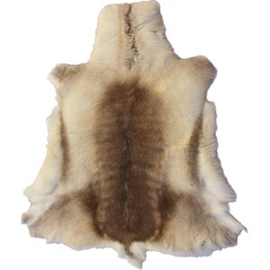 Small reindeer skin