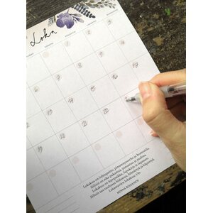 SiniSusa Kuukausiplanner -arkit 12 kpl