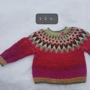 Asta Salminen Children's Icelandic sweater 1-2 yo.
