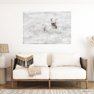Poron kuuravuode, canvastaulu 50 x 75