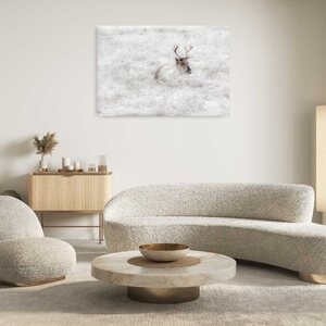 Poron kuuravuode, canvastaulu 50 x 75