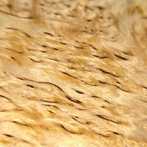 Arsbor Phone cover Curly Birch